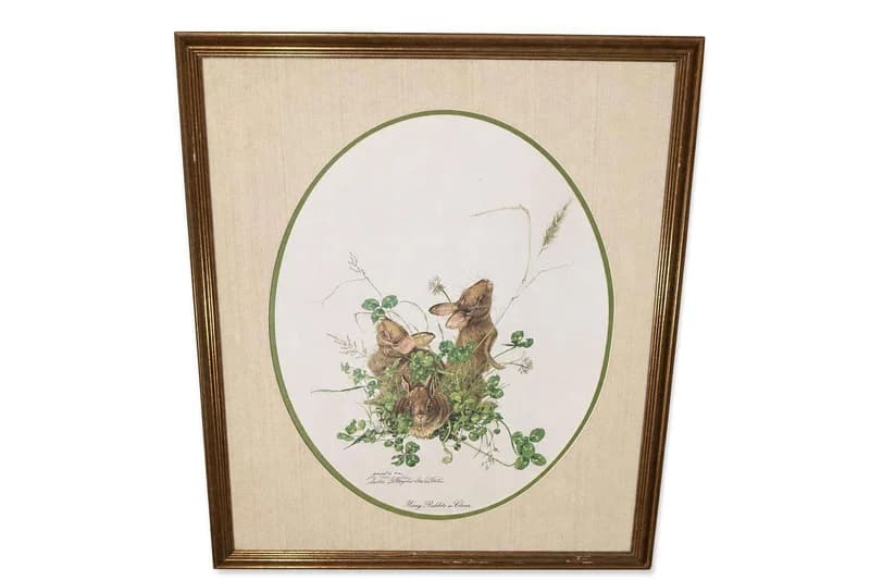 Framed rabbit wildlife art print