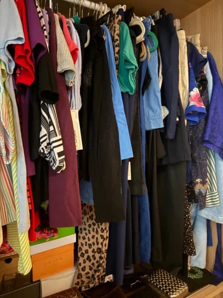 Mixed Women's Clothing Closet Lot