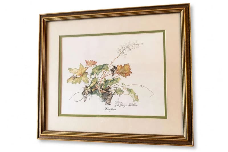 Framed botanical grapevine print